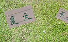 申花領(lǐng)先6分，國安續(xù)約烏，夏窗靜待。