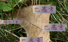 中超豪門6月7日戰(zhàn)，海港進(jìn)球七粒領(lǐng)跑