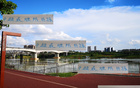 中超頭號難防前鋒，青島外援勝出，非海港萊納多，乃申花米內(nèi)羅。