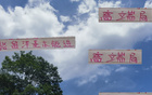 張玉寧高天意，國(guó)安申花精英；留洋進(jìn)國(guó)家隊(duì)，實(shí)力非凡。