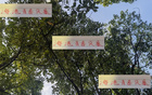 海港青春風(fēng)暴，李新翔領(lǐng)銜，大連賽進(jìn)球助攻亮眼！