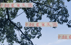 夏窗收官，四隊(duì)顯高級(jí)風(fēng)范。