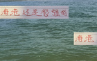 挑刺雖挑刺，海港預(yù)算有限仍居榜二，實(shí)力非凡。