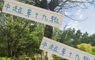 周末申花云南高原賽，阿蘇埃赤道南能否進第四球？