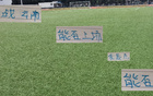 朱辰杰戰(zhàn)云南成疑，球迷盼其留力海港。