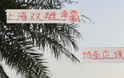 滬申花海港爭霸，雙雄對攻精彩，馬寧助陣。