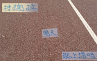 申花喜訊：朱辰杰現(xiàn)身訓(xùn)練，特謝拉缺席德比。