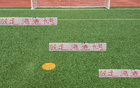 放走古斯塔沃后，海港更猛，主場對(duì)河南穩(wěn)否？
