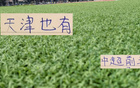 天津決戰(zhàn)，海港、成都、北京國安皆有失分風險！