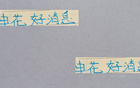 申花多名球員轉戰(zhàn)武漢三鎮(zhèn)，路易斯缺席。