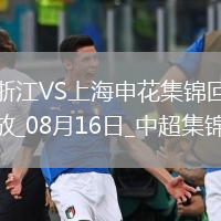 08月16日中超第21輪浙江vs上海申花片段