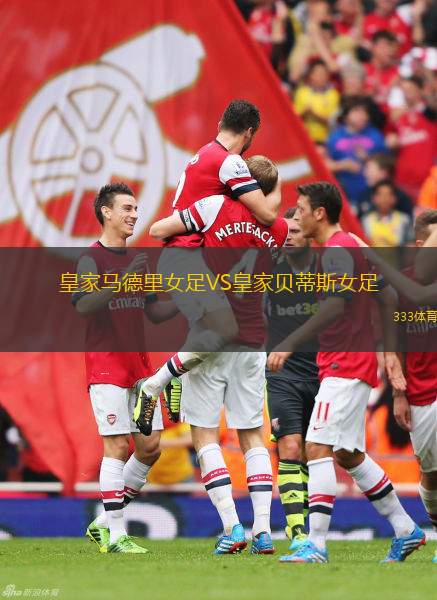 卡梅尼察VS貝斯基米