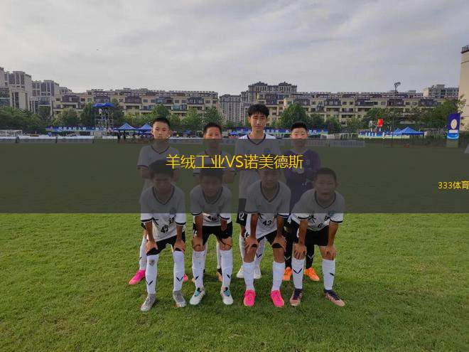馬里博爾VS采列