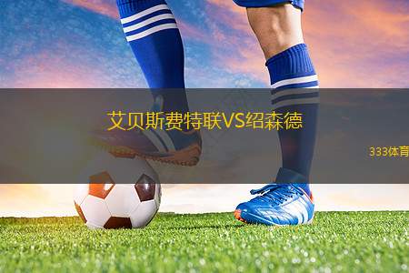 茲沃勒VS特溫特