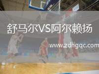 舒馬爾VS阿爾賴揚
