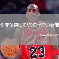 謝菲爾德鯊魚VS紐卡斯爾老鷹
