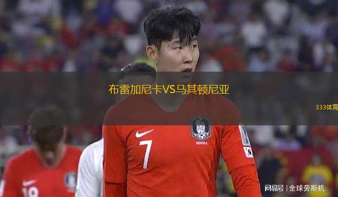 鉑金VS綠色燃料