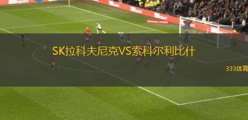 小男孩FDVS利森格