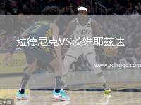 拉德尼克VS茨維耶茲達