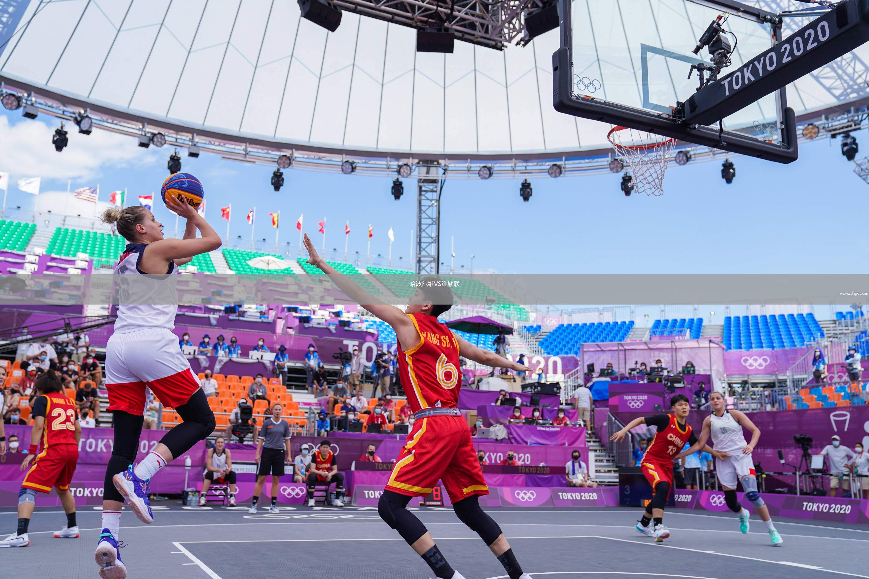 哈波爾維VS維勒聯(lián)