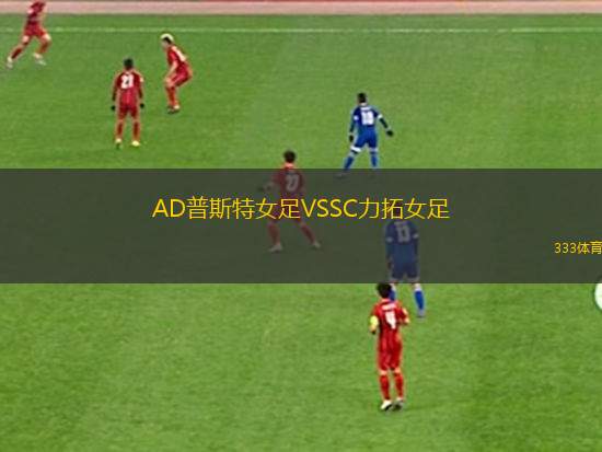 霍斯特爾特VS尼德科恩