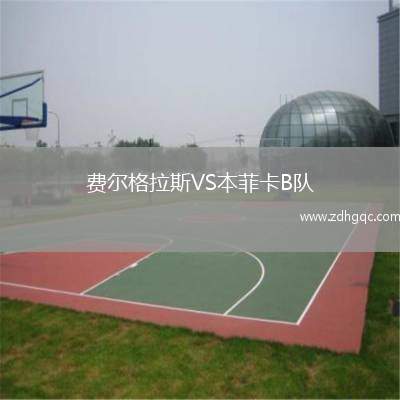 費(fèi)爾格拉斯VS本菲卡B隊(duì)