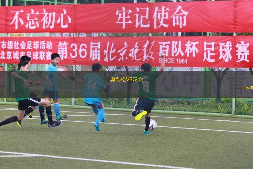 第戎VS布洛涅