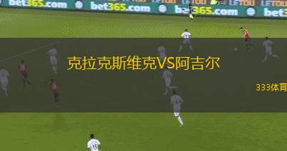 威爾伯特VS布德里奇