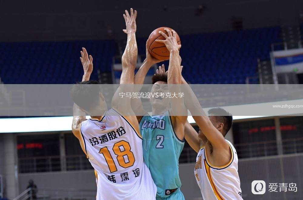 寧馬賀流浪VS考克大學