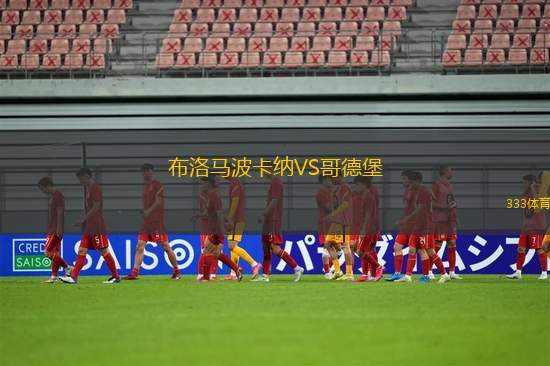 明斯克女足VS明斯克動(dòng)力女足