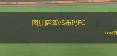 德扎迪納摩VS卡龍加聯(lián)隊(duì)