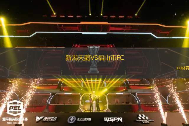 塞爾維特VS洛桑體育隊(duì)