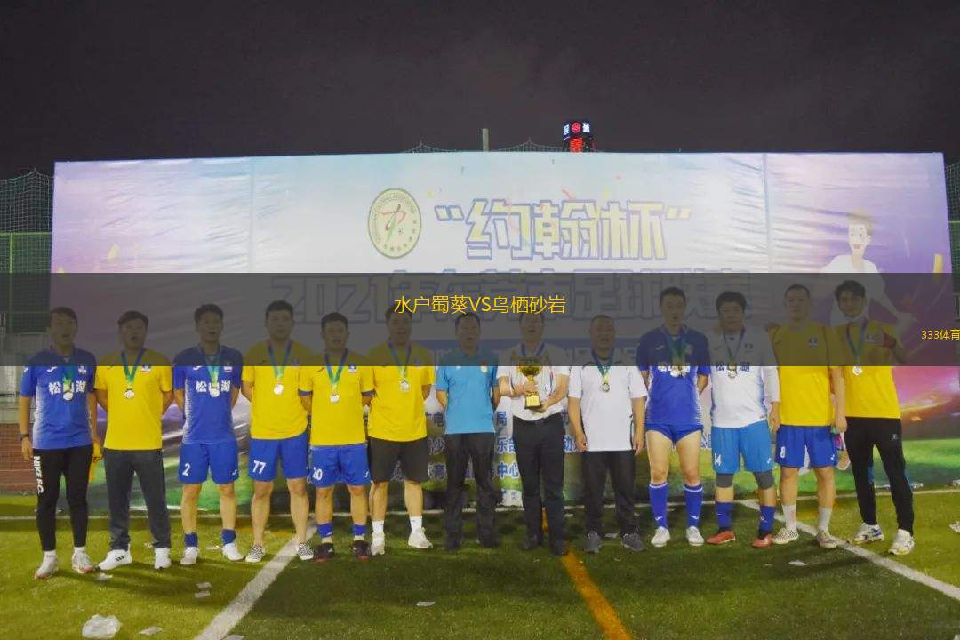 肯佐米斯萊尼VS辛特羅尼克
