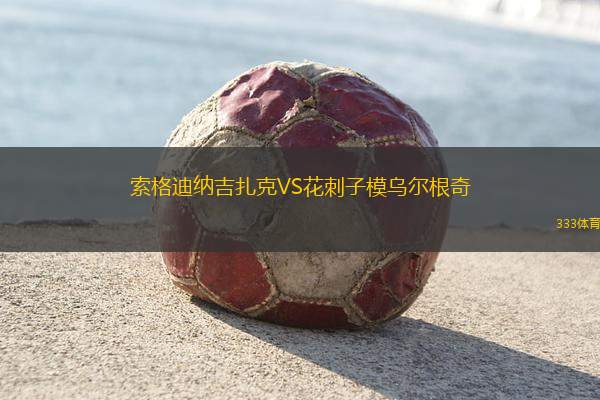 希羅基布里耶格VS斯洛伯達(dá)