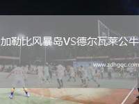 加勒比風(fēng)暴島VS德爾瓦萊公牛