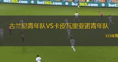 布羅德美度蘭后備隊(duì)VS貝爾蒙特斯旺西SC后備隊(duì)