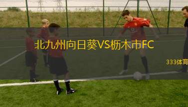 查爾斯頓電池VS鳳凰重生
