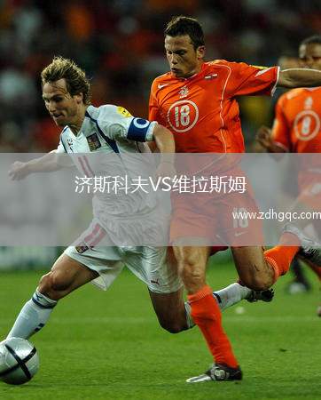 濟(jì)斯科夫VS維拉斯姆