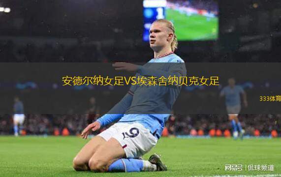 福山市FCVS白鯨紅巖美