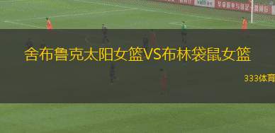 麥凱隕石女籃VS伊普斯維奇部隊(duì)女籃