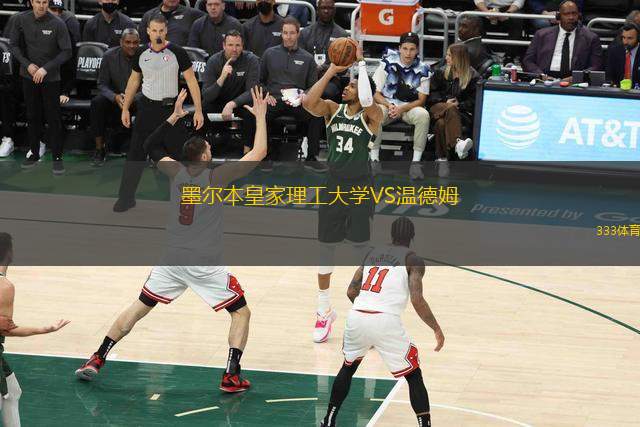 西南新城海盜VS湯斯維爾熱火