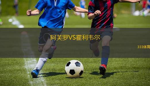 莫洛迪茲諾VS斯莫根