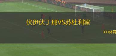 城南FCVS天安城