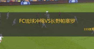 印第安納州北部VS弗林特城