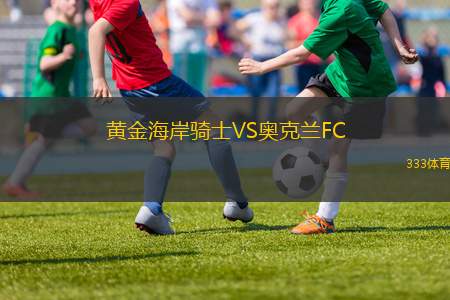 瓦斯科達(dá)伽馬VS博塔弗戈