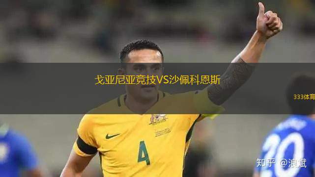 赫根VS哈姆斯塔德