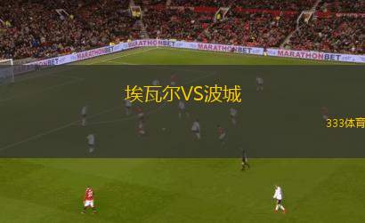 費堡格VS霍芬海姆