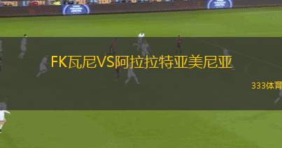 底特律城VS匹茲堡獵犬河隊