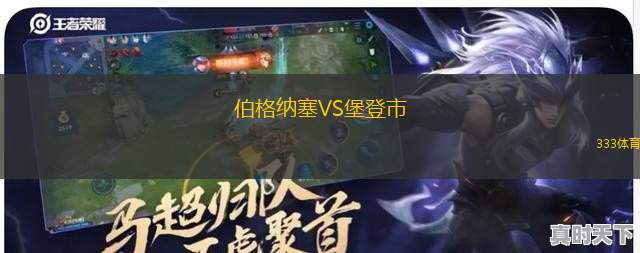圣保利業(yè)余隊VS杜塞爾多夫業(yè)余隊