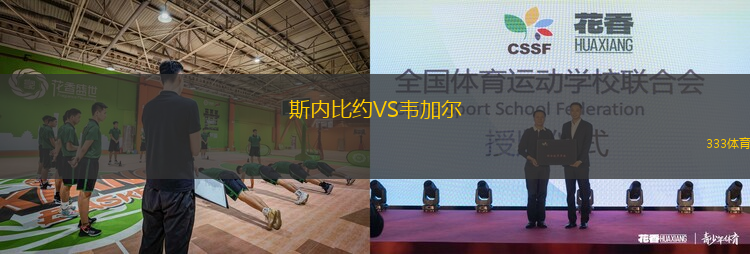 卡利美洲VS巴伊亞